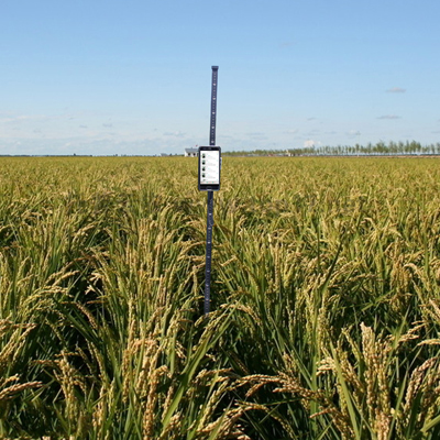 小麦株高测量仪 tpdm-g-1